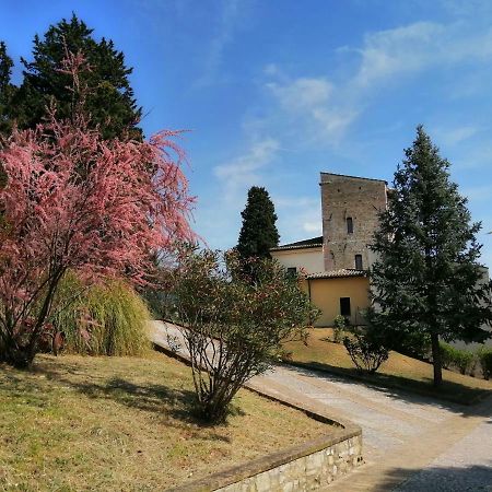 Villa Casa per Ferie Ulivo d'Assisi Esterno foto