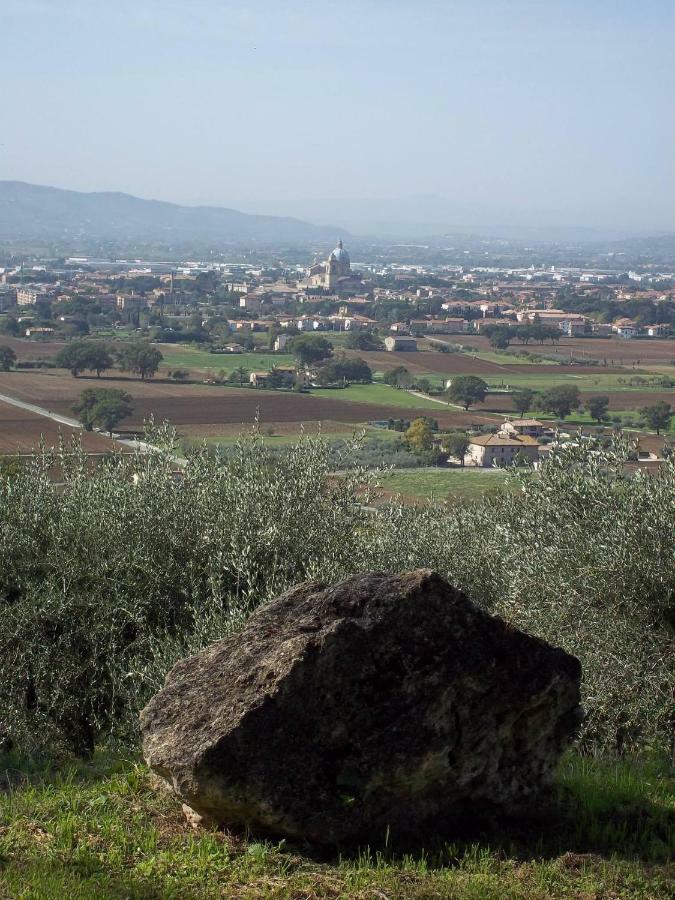 Villa Casa per Ferie Ulivo d'Assisi Esterno foto
